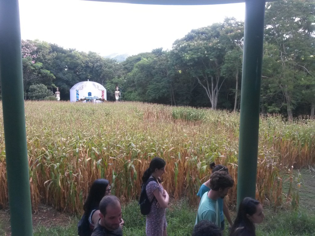 Forma de beija-flor no milharal