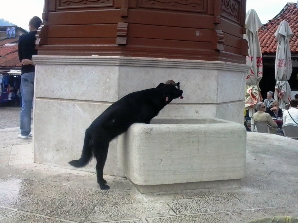 bom dia 2012-10-07 11.00.33