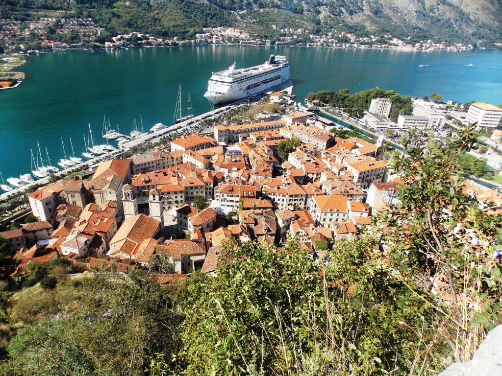 edi_(Copy of) DSCN3892