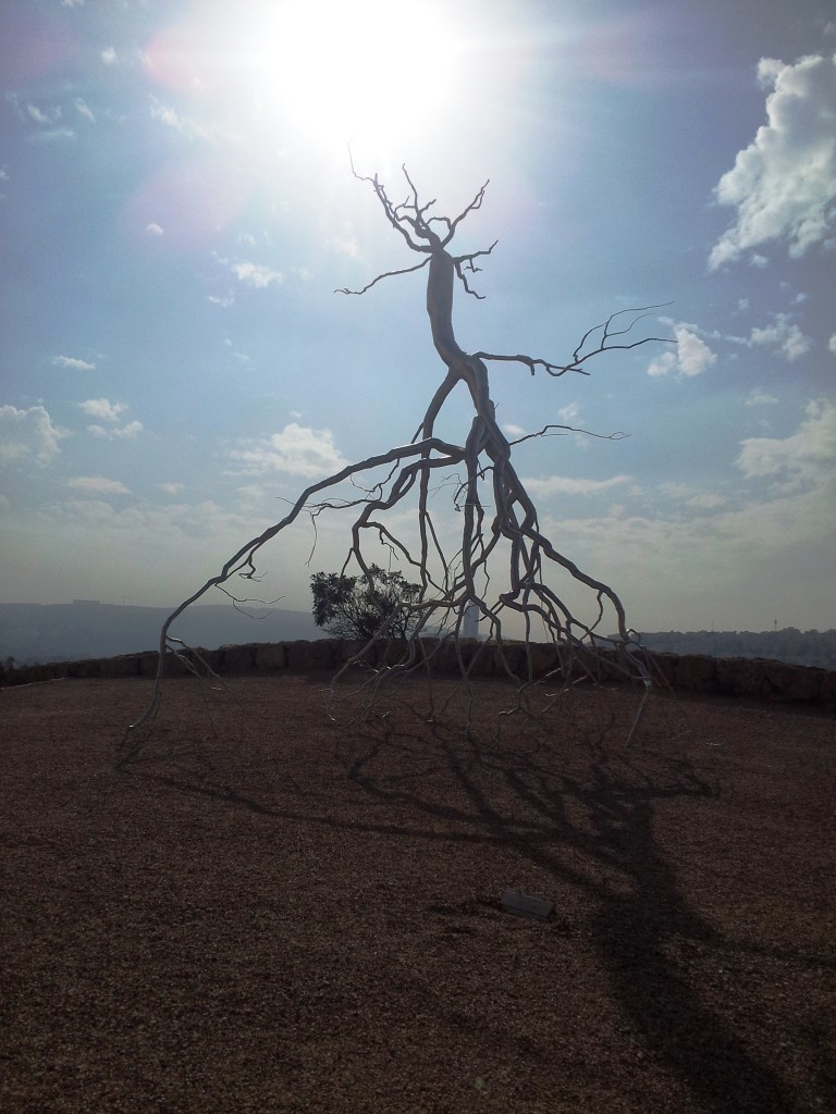 Trees are the connection. Árvores são a conexão.