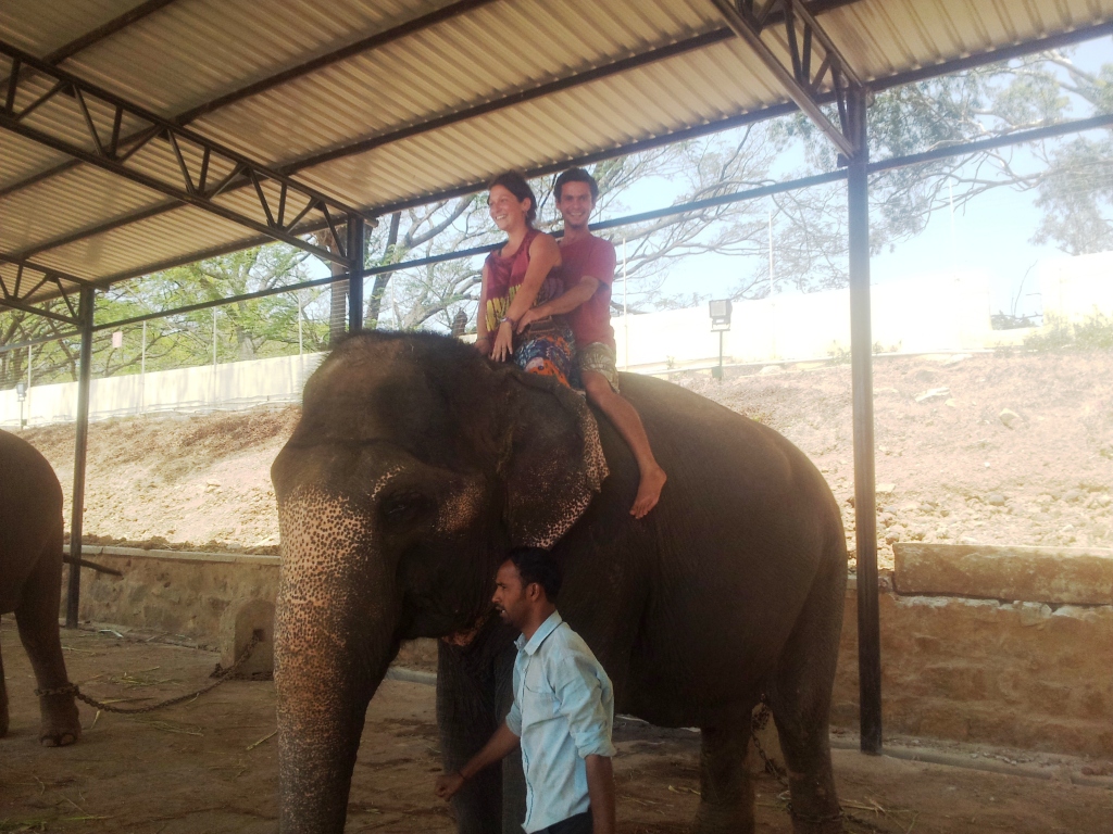 Elephant Trip in Mysore
