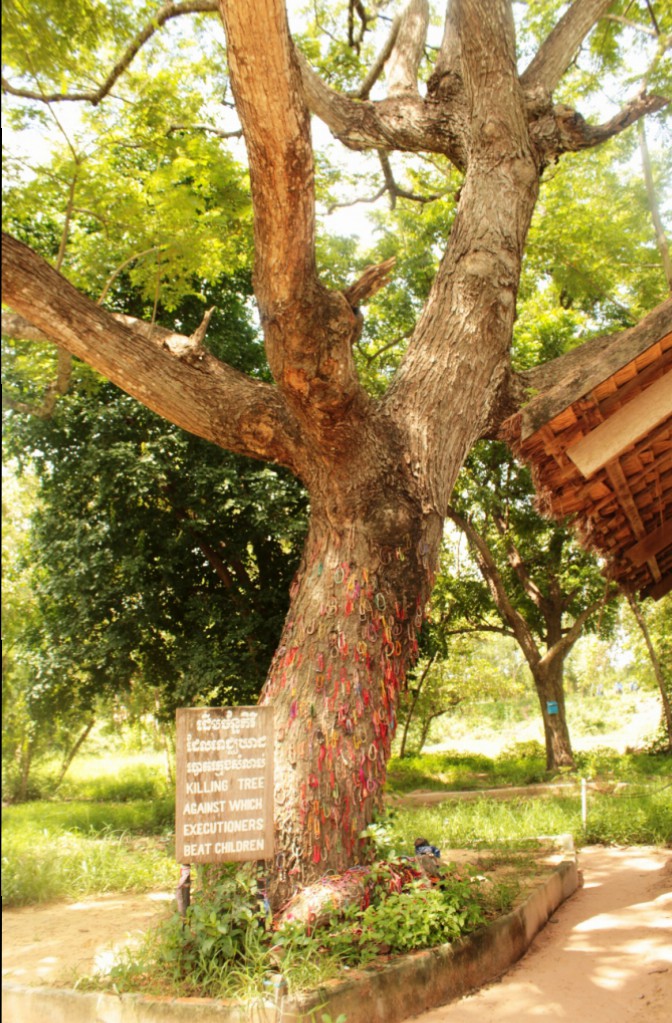 Chankiri Tree, onde os estúpidos animais humanos batiam as cabeças das criancas!