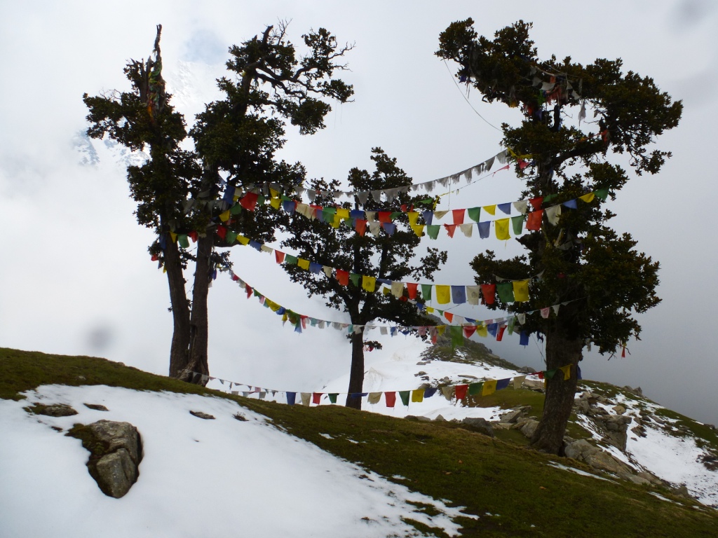 Prayer Flags in Laka Got, Dharamsala