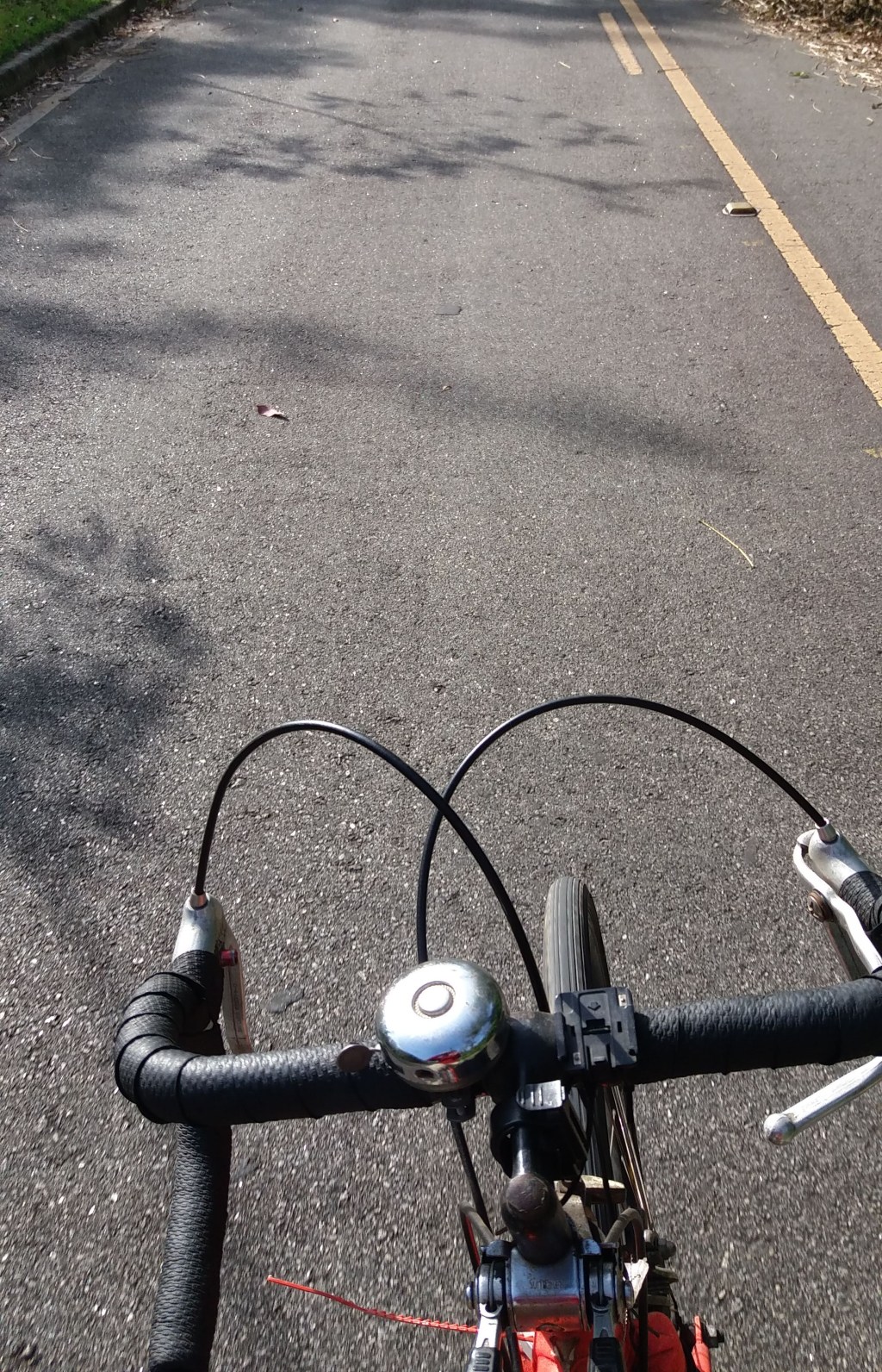 Eu Vou de&nbsp;Bicicleta