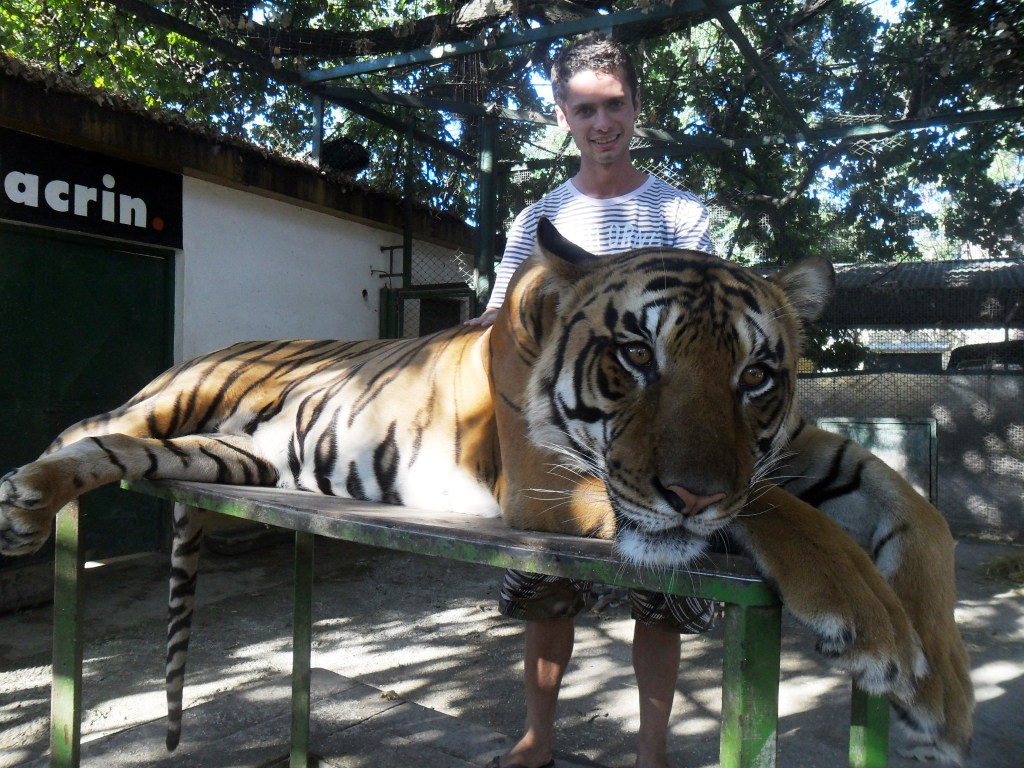 Tocando o tigre